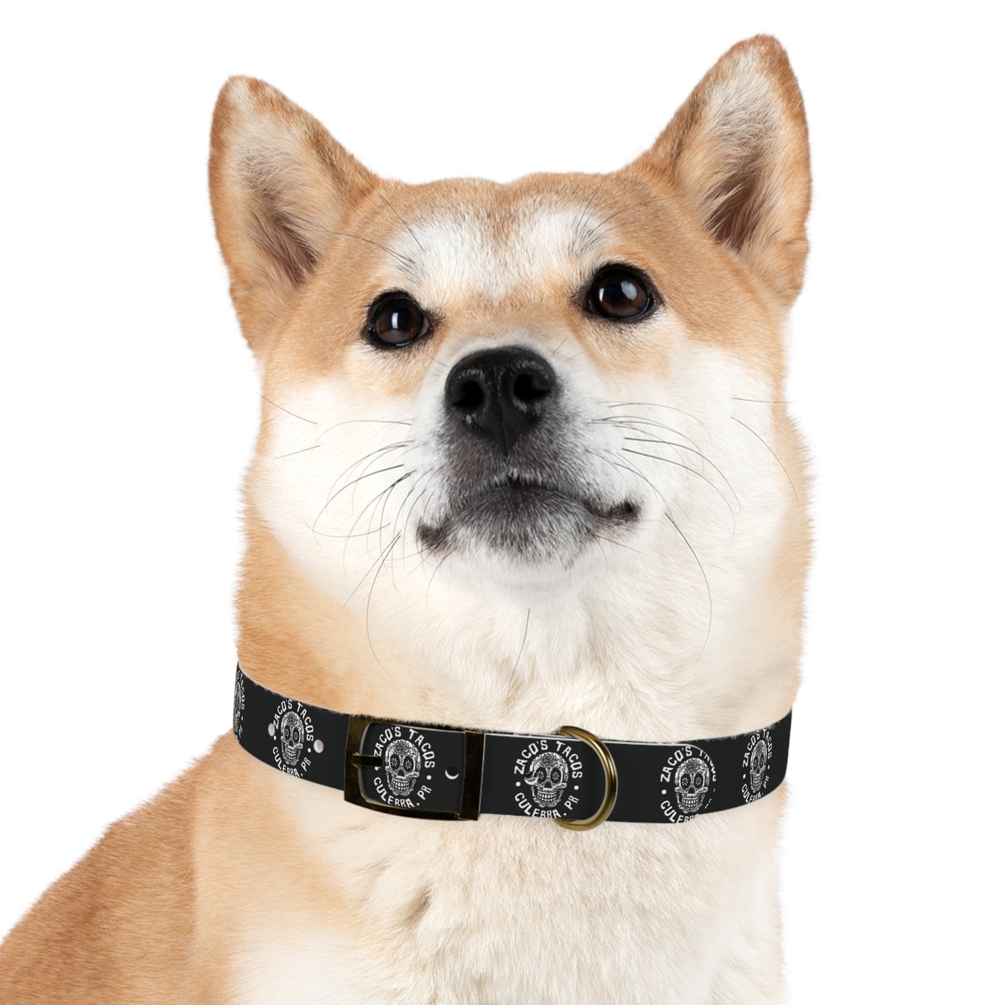 Zaco's Custom Dog Collar