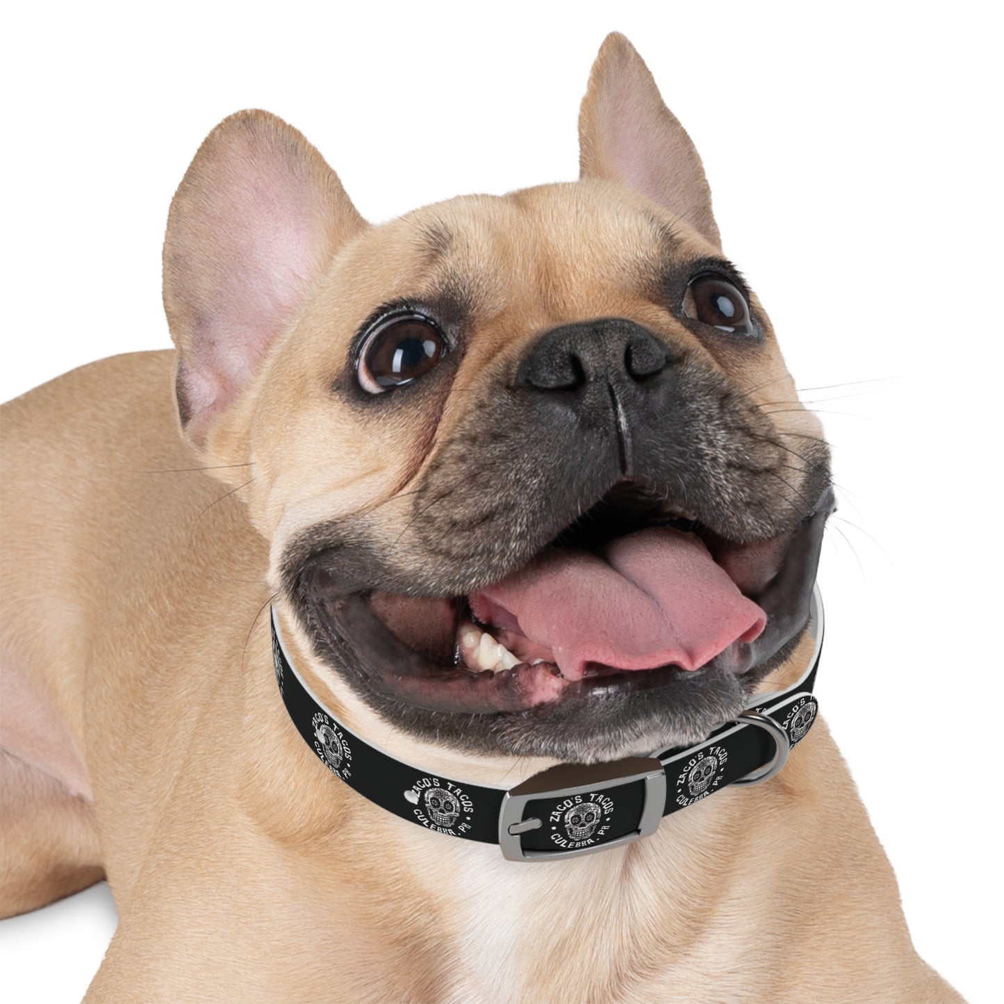 Zaco's Custom Dog Collar