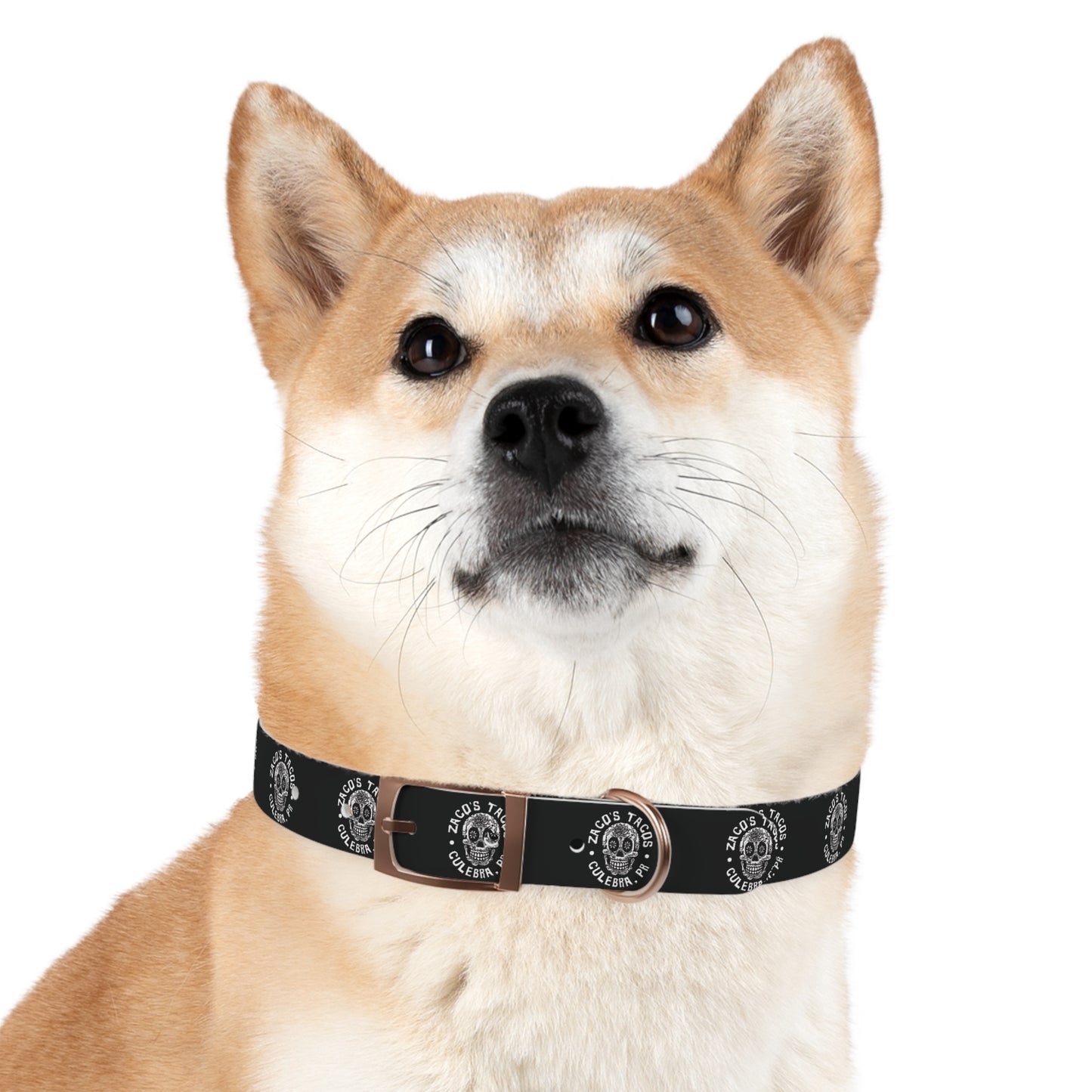 Zaco's Custom Dog Collar