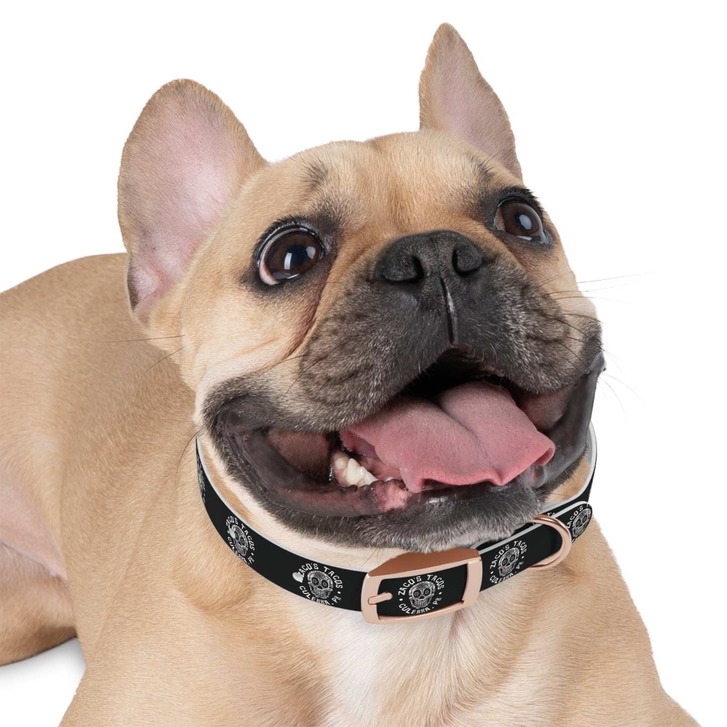 Zaco's Custom Dog Collar