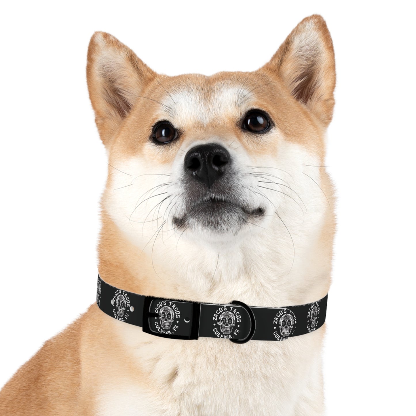 Zaco's Custom Dog Collar