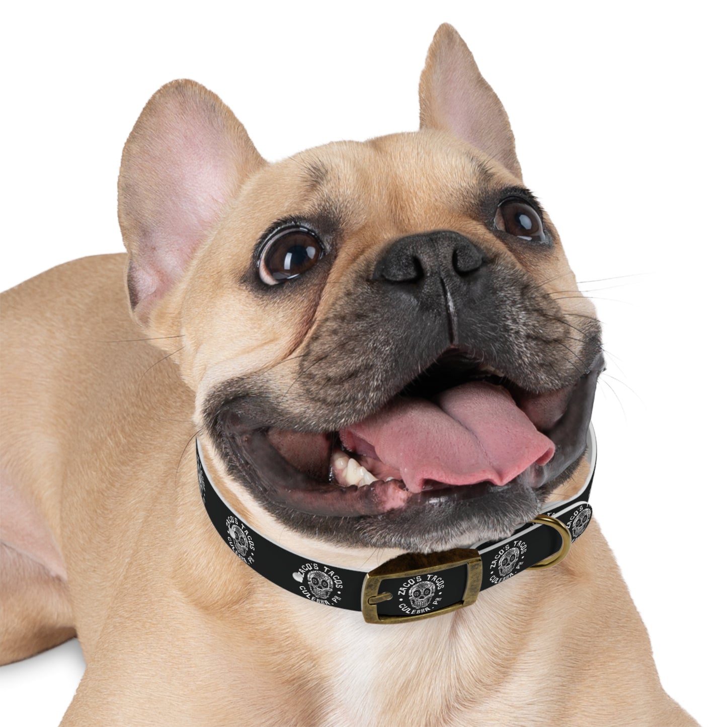 Zaco's Custom Dog Collar