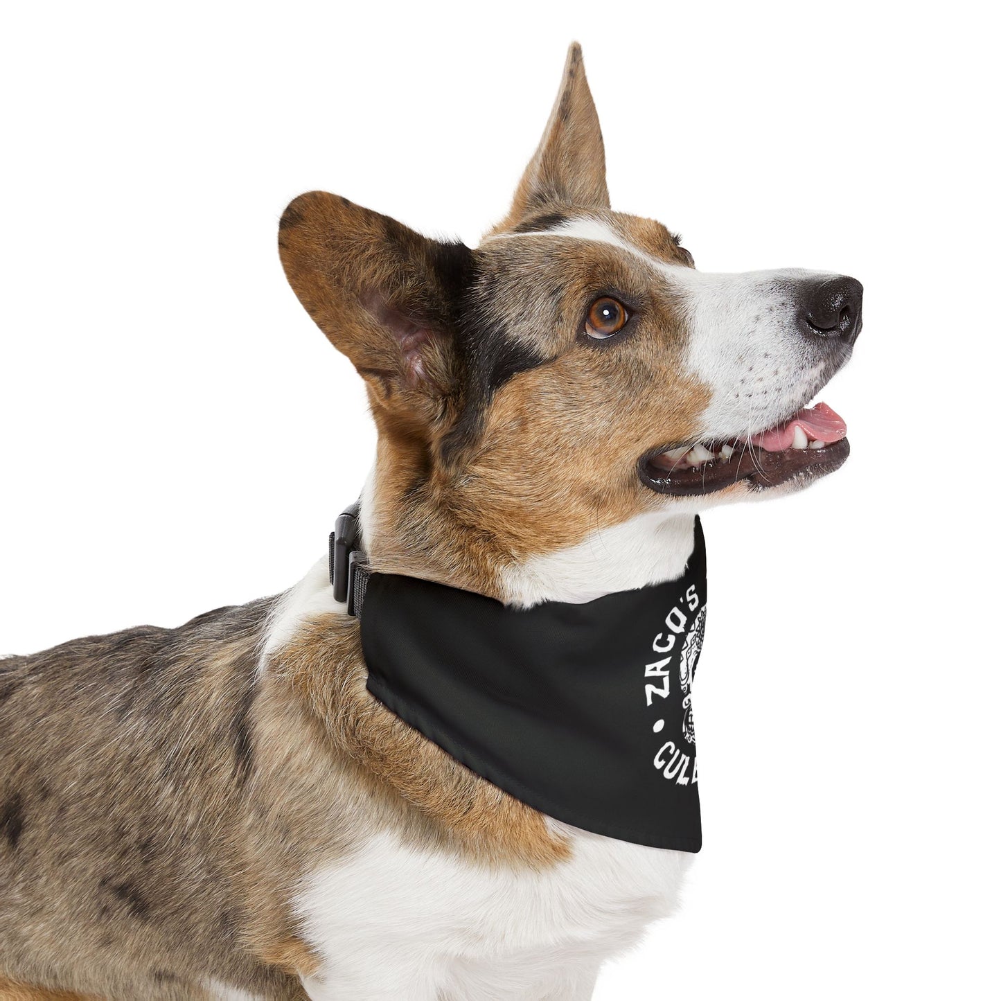 Zaco’s Pet Bandana Collar